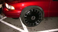 IMG_0253