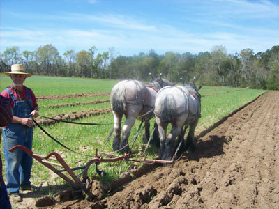 Getting ready to plow