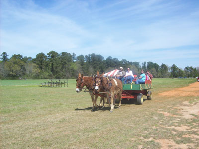 Field Day Riders